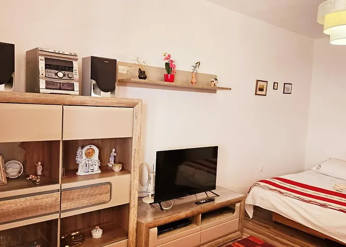 Apartment Tony Omis